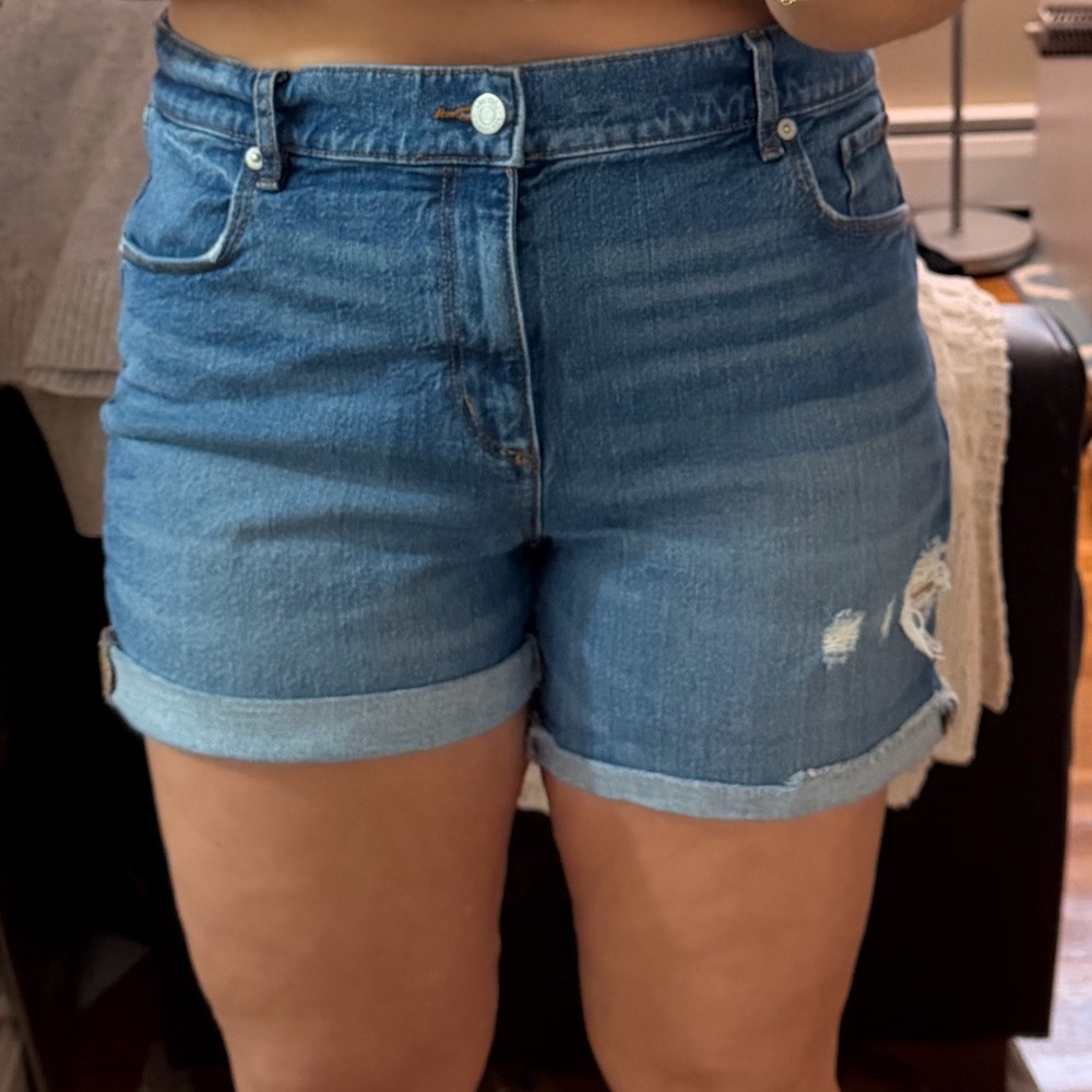 LOFT Classic Blue Jean Shorts